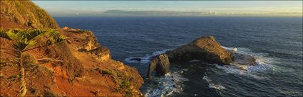 Elephant Rock - Norfolk Island - NSW (PBH4 00 12343)